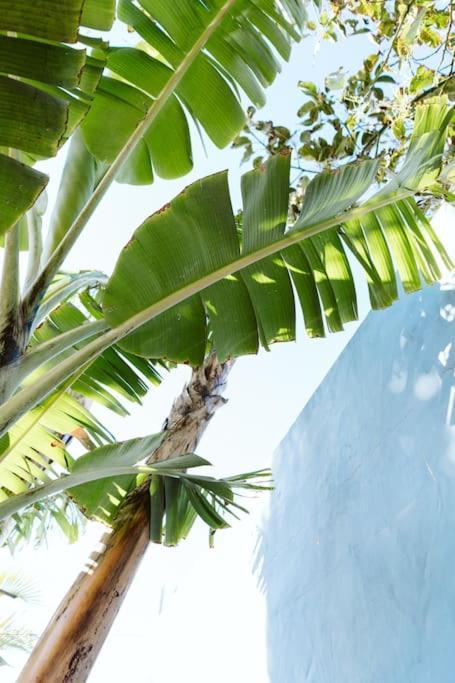 Tortuga Blue House In Banana Plantation Villa Arucas Bagian luar foto